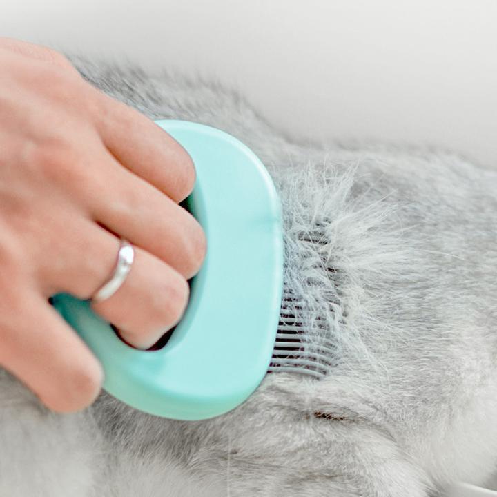 Massageador e Removedor de Pelos para Gatos - Soft Cat