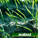 EasyGrow  - Verde Exuberante