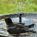 Chafariz Solar para Jardim - SunFountain - Compre 1, Leve 2 + Bicos de BRINDE