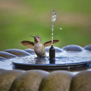 Chafariz Solar para Jardim - SunFountain - Compre 1, Leve 2 + Bicos de BRINDE