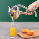 Espremedor de Frutas para Sucos e Vitaminas Instantâneo - Divino Produto