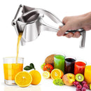 Espremedor de Frutas para Sucos e Vitaminas Instantâneo - Divino Produto