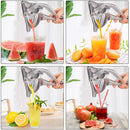 Espremedor de Frutas para Sucos e Vitaminas Instantâneo - Divino Produto