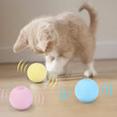 Bolinhas Elétrica Automática com Sons Para Gatos e Cachorros - PetFun - Divino Produto