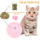 Bolinhas Elétrica Automática com Sons Para Gatos e Cachorros - PetFun - Divino Produto