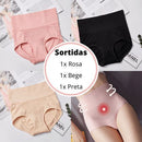 KIT 3 Unidades - Calcinha Antibacteriana - Panties Comfortable