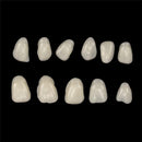 Cobertores de Dentes de Resina - Oral Beauty Care - Divino Produto