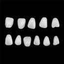 Cobertores de Dentes de Resina - Oral Beauty Care - Divino Produto