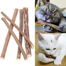 Escova de Dentes Natural para Gatos - Cat Cleaner - Divino Produto
