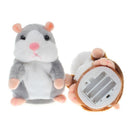 Hamster Falante - Divino Produto