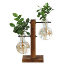 Terrarium Hidropônicos - Vasos GlassGreen