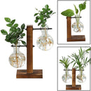Terrarium Hidropônicos - Vasos GlassGreen