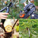 Tesoura para Plantas e Árvores Frutíferas - Plant Cutter