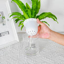 Vaso Hidropônico - Easy Growing Plants